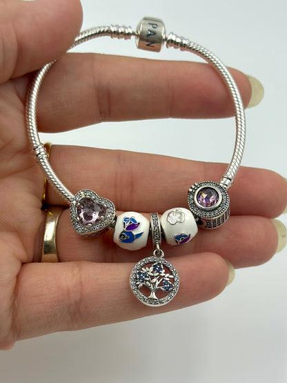 Stone and Zircon studded, enamel coated sterling silver charm bracelet